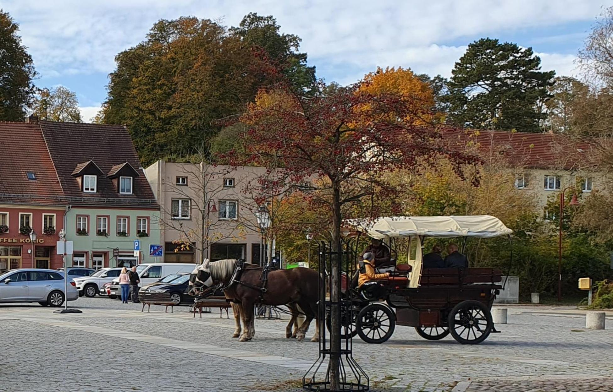 Apartment Gruener Fuerst Mit Sitzecke Im Innenhof & Naehe Park & Erdgeschoss Bad Muskau Luaran gambar